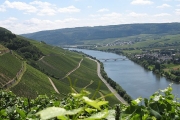 The Moselle on River Cruises Europe